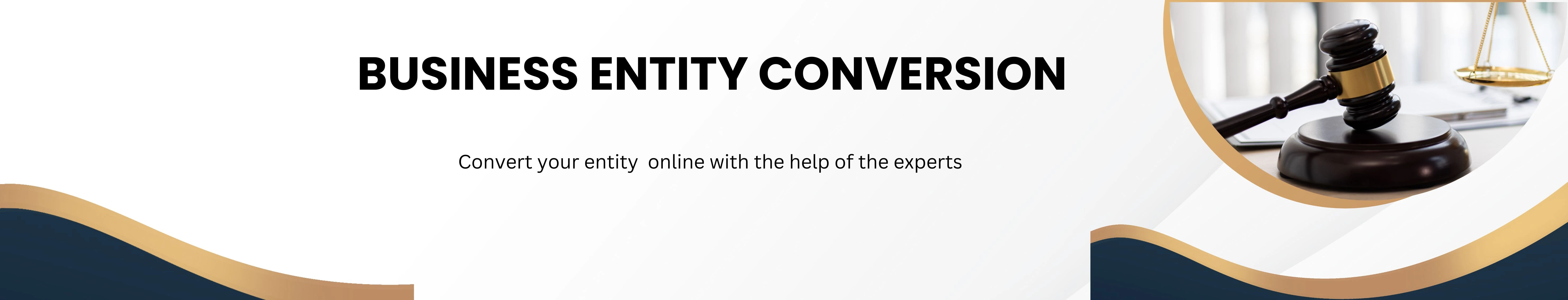 Business entity conversion